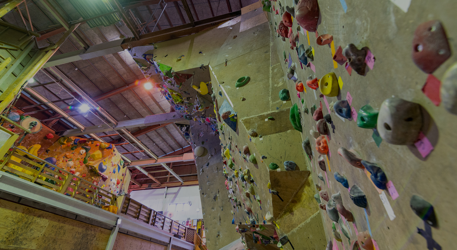 Climbingwall Ascent Ray（クライミングウォールアッセントレイ）