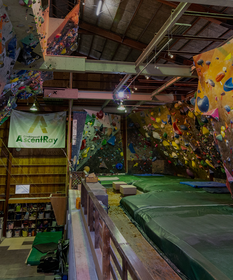 Climbingwall Ascent Ray（クライミングウォールアッセントレイ）