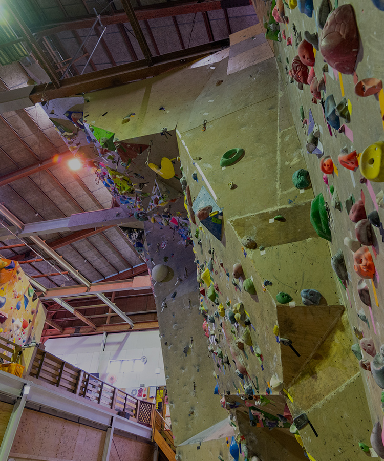 Climbingwall Ascent Ray（クライミングウォールアッセントレイ）